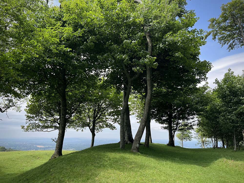 Chanctonbury Ring on the South Down's Way