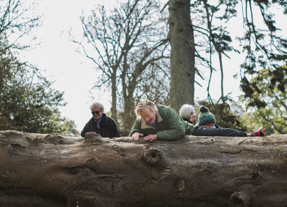 older person climbing over a fallen tree