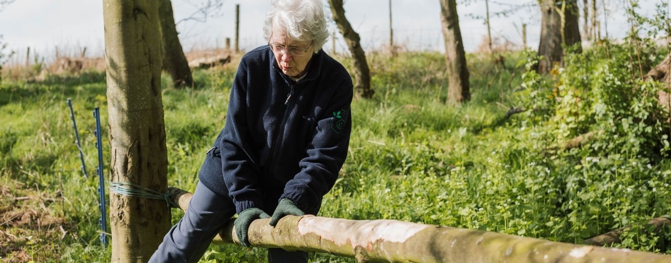 An elderly woman climbing over a branch