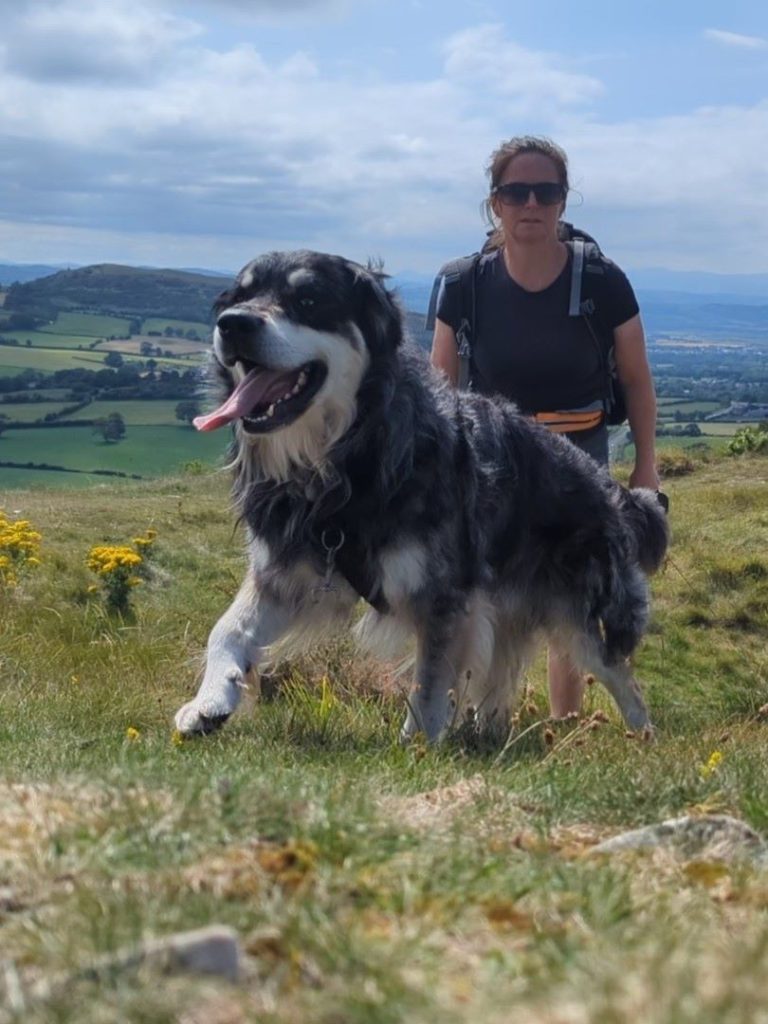 Ziggy and hilary on y gop