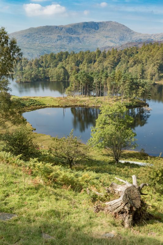 Tarn Hows Cumbria