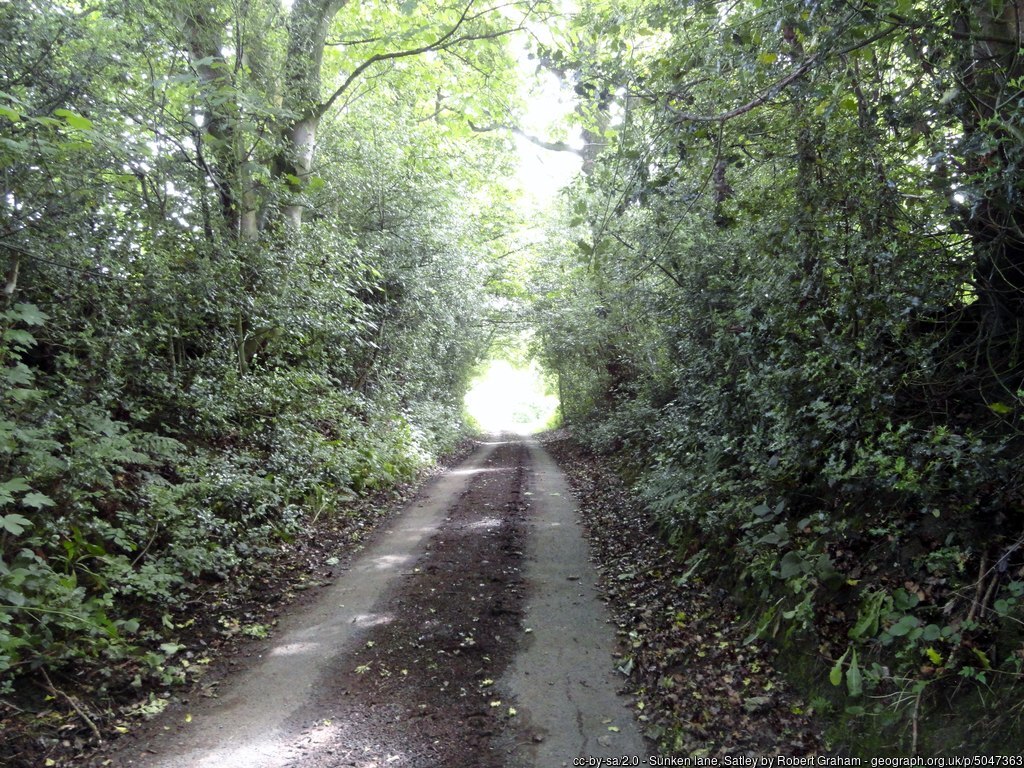 Image showing a sunken lane