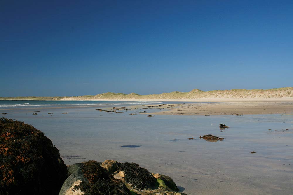 Dog Friendly Islands UK 3. coll