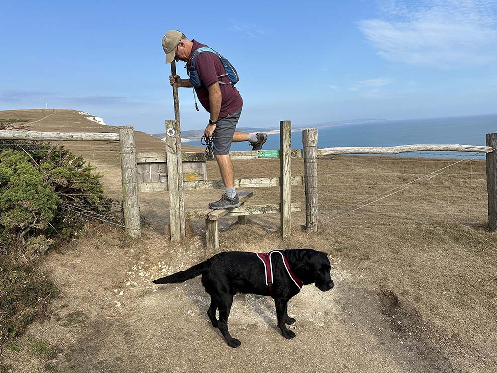 Dog Friendly Islands UK 5. isle of wight