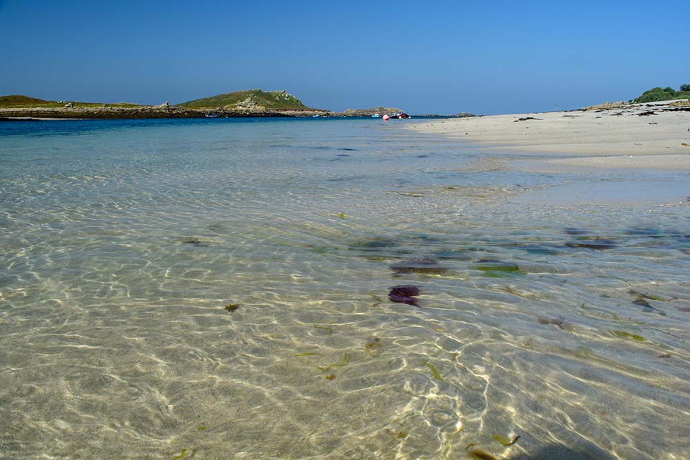 Dog Friendly Islands UK 6. st martins coast path