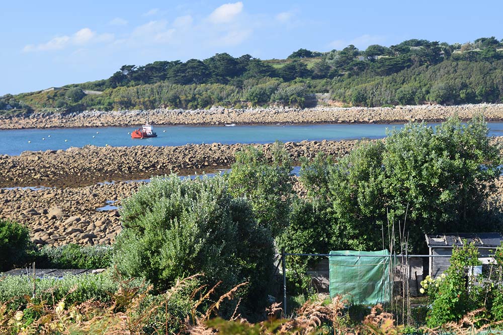 Dog Friendly Islands UK 6. st mary's coast pathscilly
