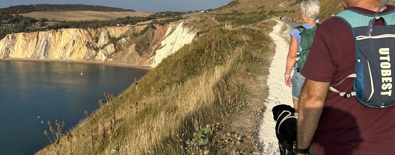 Dog Friendly islands UK