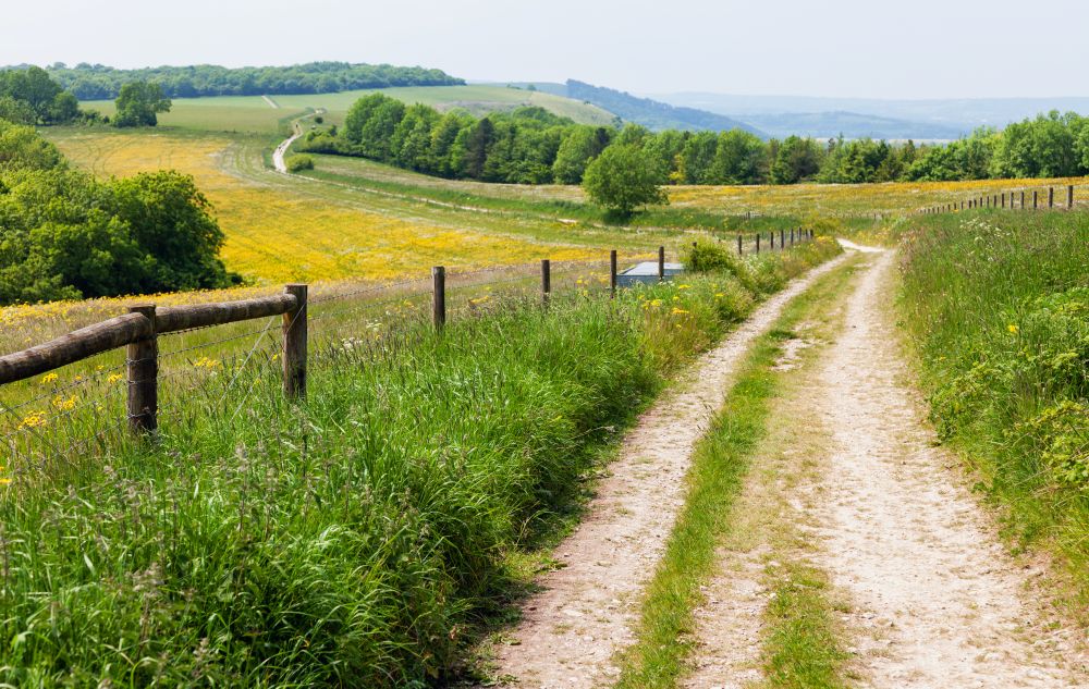 south downs way path