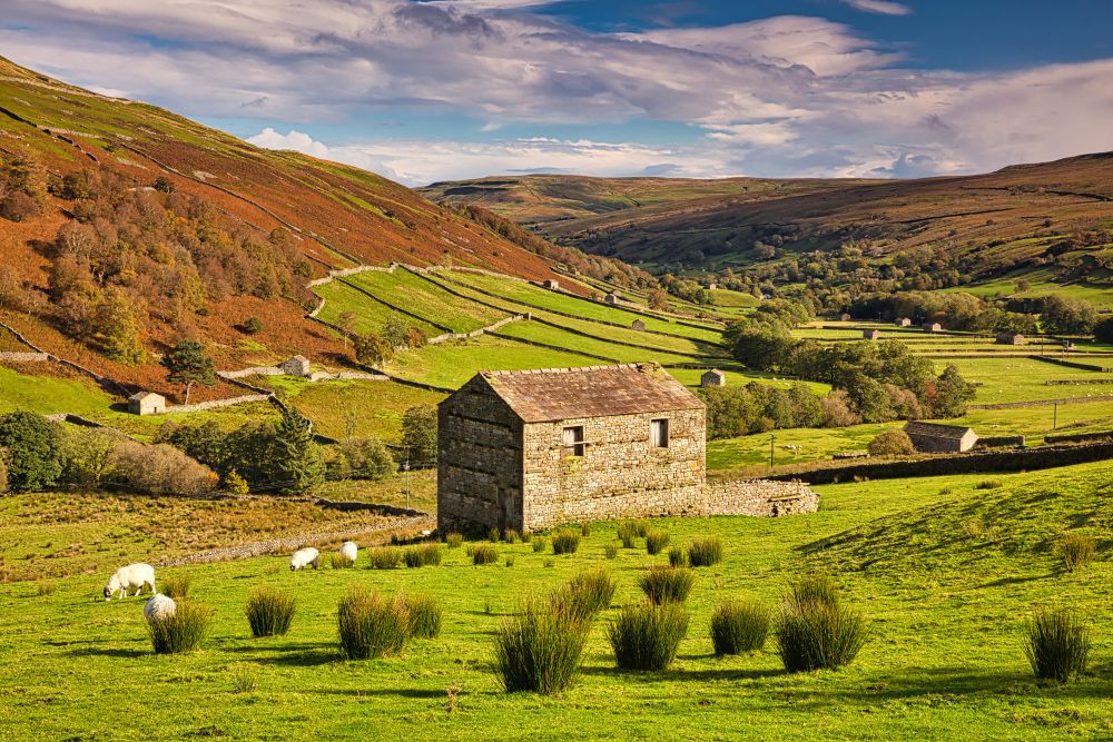 swaledale on the coast to coast path