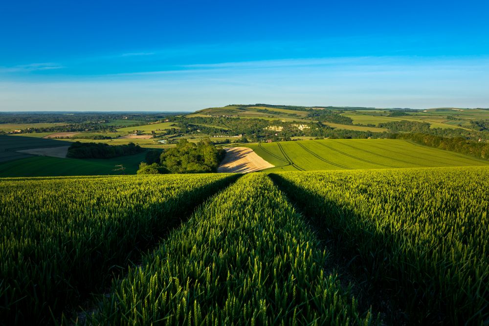 View across Amberley on the South Downs Way, West Sussex