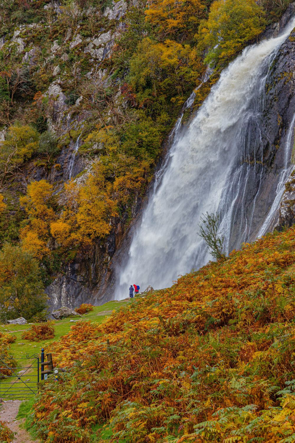 Aber Falls (Rhaeadr Fawr) in full flow in autumn
