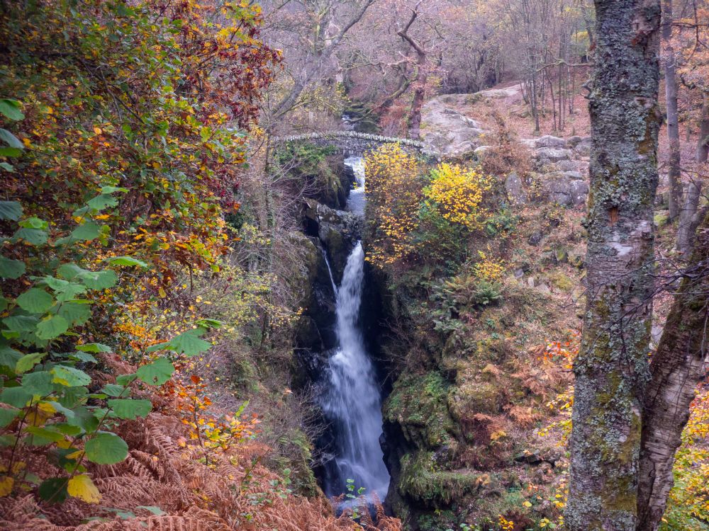 Aira Force waterfalls in Autumn in the Lake District National Park