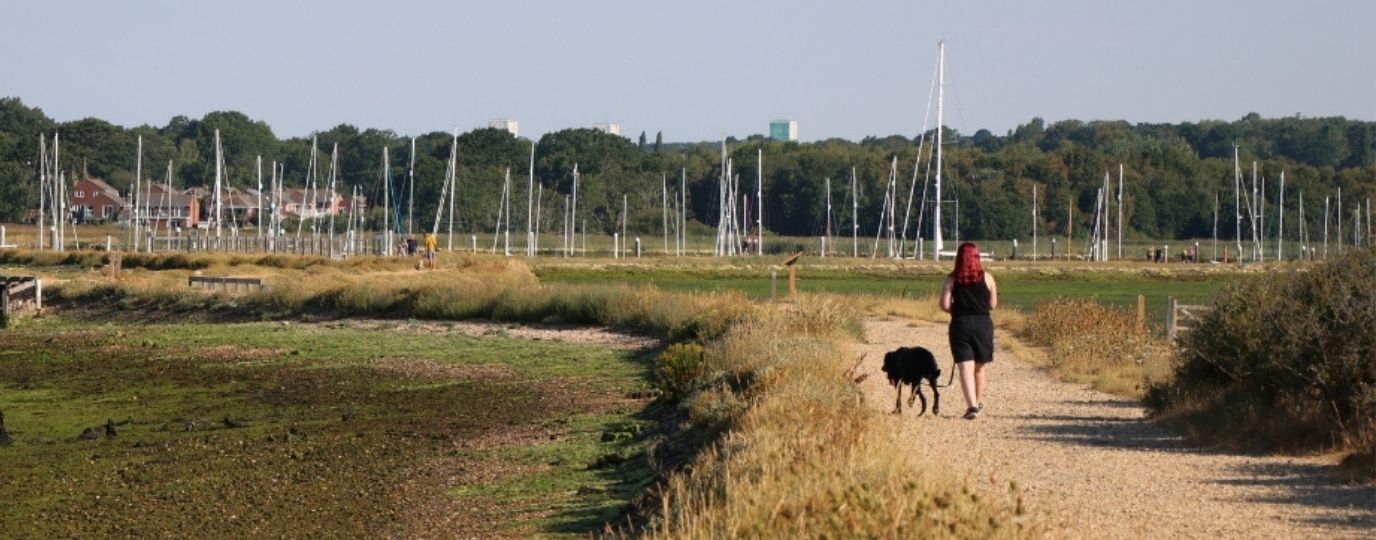 Solent Dog Walks