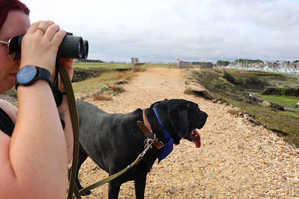 Walking a dog and looking with binoculars