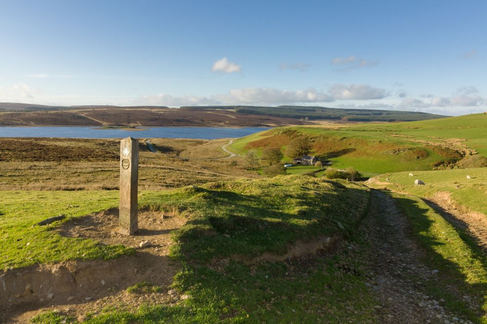 Llyn Brenig 