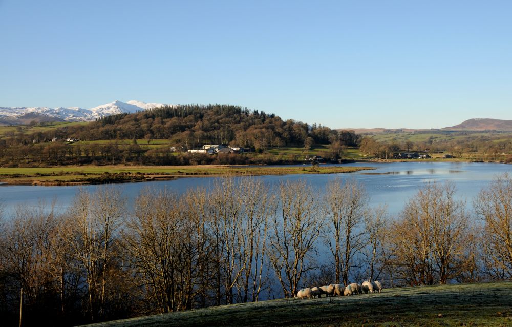 llyn tegid