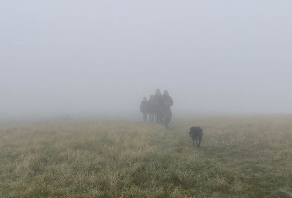 misty hike