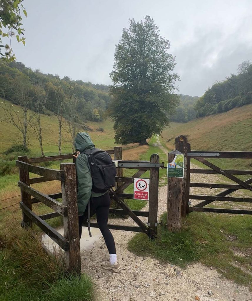 a woman walking through a gate