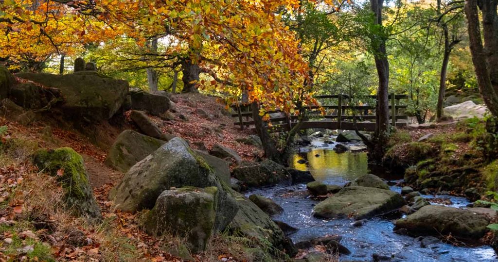 Padley Gorge
