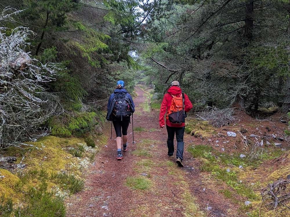 Mandy and Neil walking through a forest