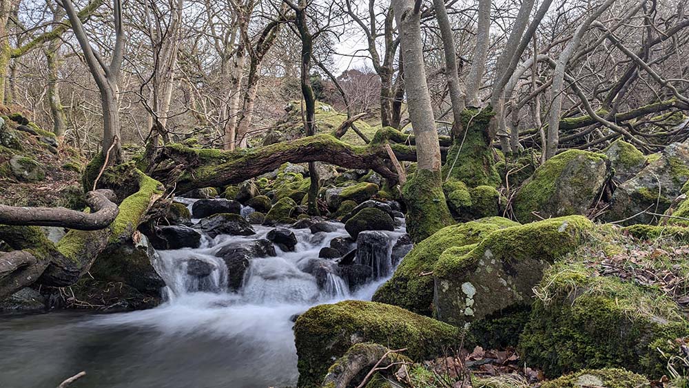 Nant Y Coed Nature Reserve waterfalls